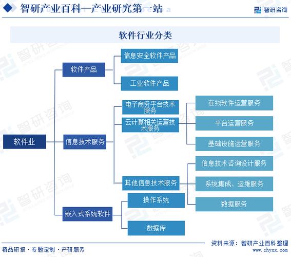 软件与信息技术服务业,简称:软件业